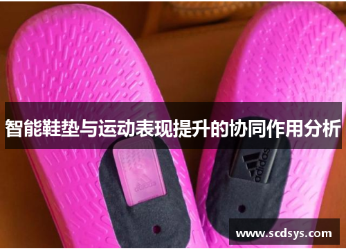 智能鞋垫与运动表现提升的协同作用分析